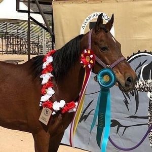 Meet your Posher, Tonya